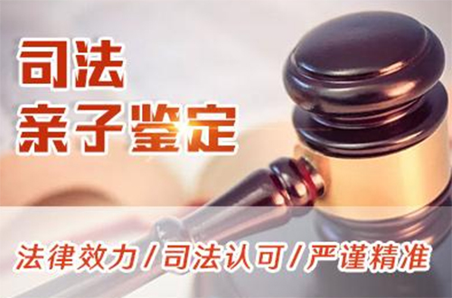 河南司法亲子鉴定大概多少费用,河南司法亲子鉴定需要如何做