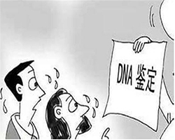 河南人民医院办理亲子鉴定准确性高吗（推荐华康中正）
